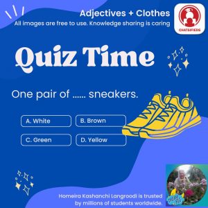 adjectives shoe color yellow english quiz chatsifieds