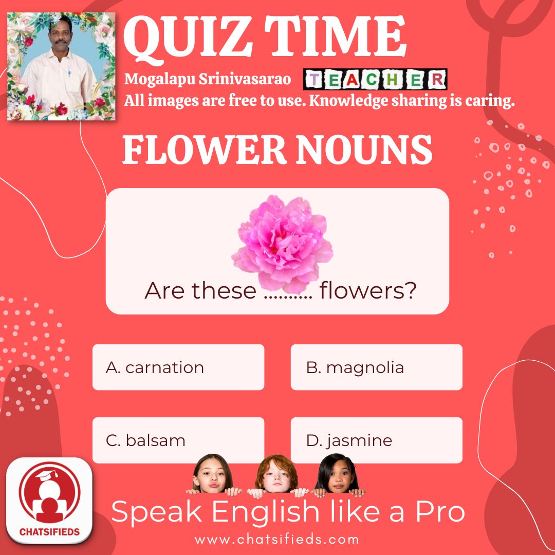 flower noun carnation learn english quiz 9 chatsifieds
