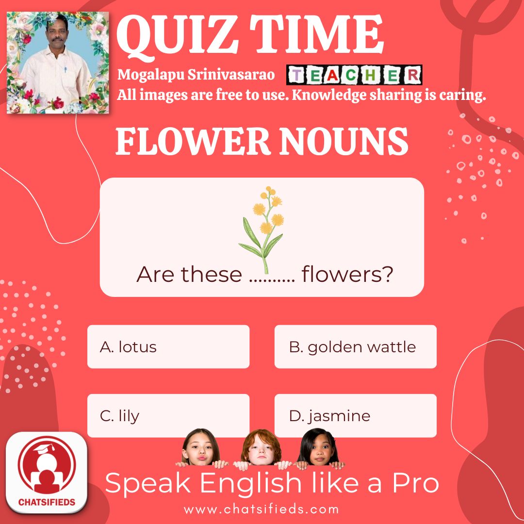 flower noun golden wattle learn english quiz 6 chatsifieds