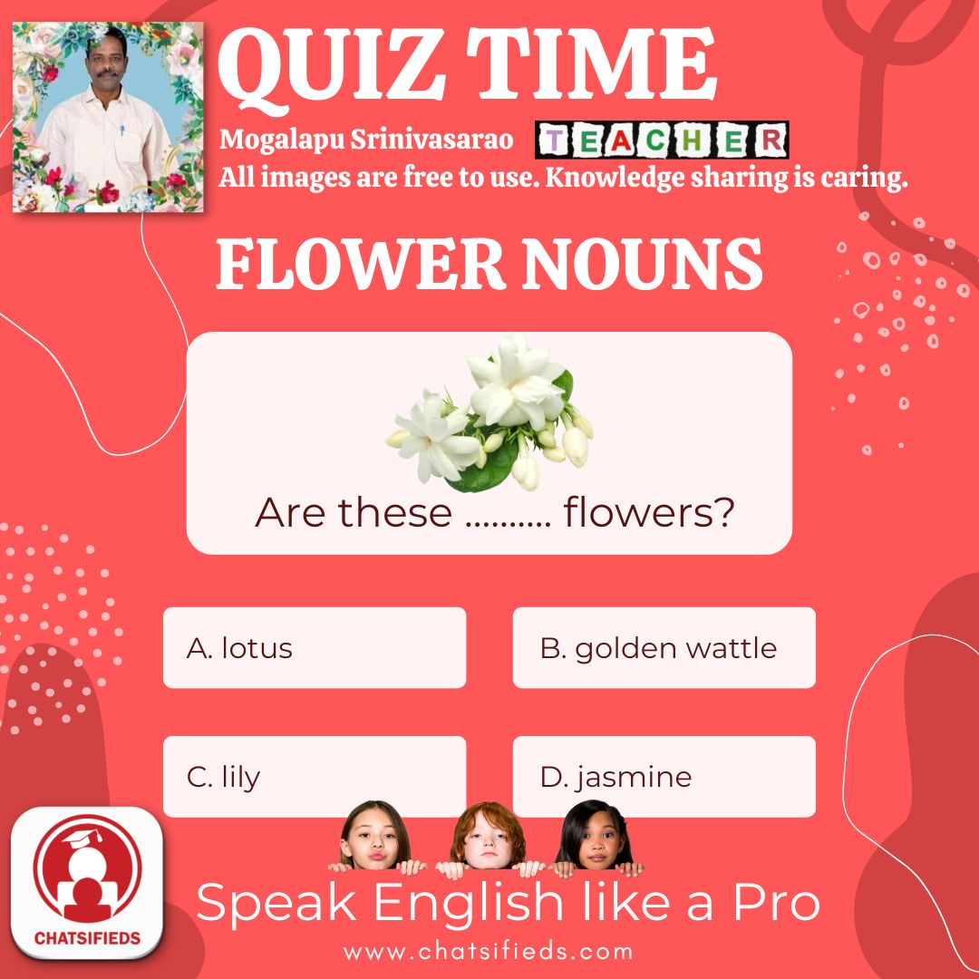 flower noun jasmine learn english quiz 8 chatsifieds