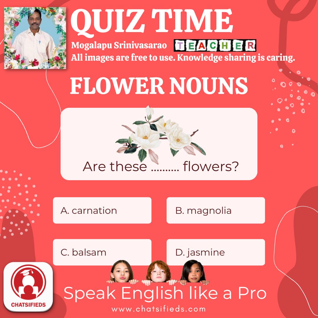 flower noun magnolia learn english quiz 10 chatsifieds