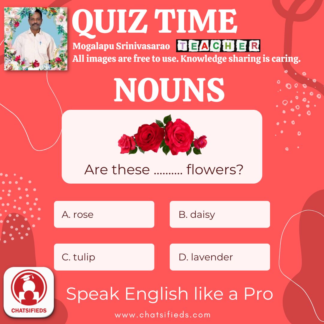flower noun rose learn english quiz 1 chatsifieds
