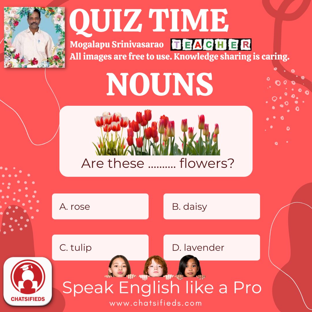 flower noun tulip learn english quiz 3 chatsifieds