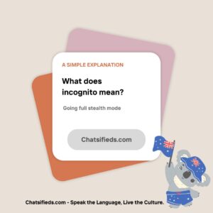What does incognito mean Chatsifieds
